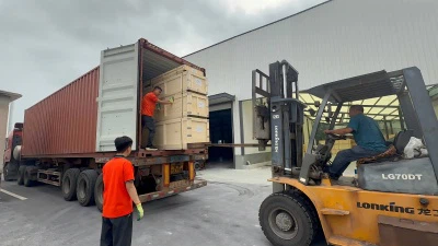 ہوایان رولرس بیرون ملک ترسیل میں تیزی لاتے ہیں